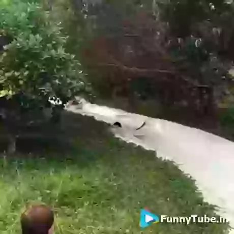 Hot Girls Fail In Sliding Funny GIF