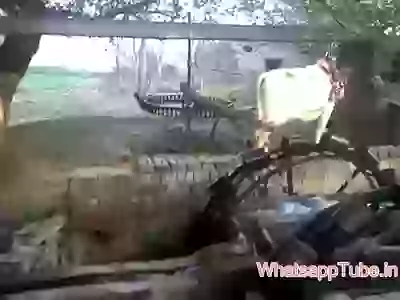 How India draw water 50 years back