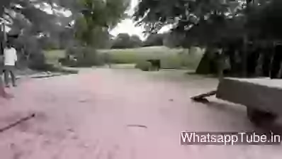 How Is Desi Boy Bike Stunt