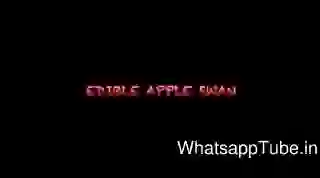 How To Make Apple Duck