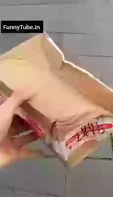 How Your Parcel Treated By Currier Workers