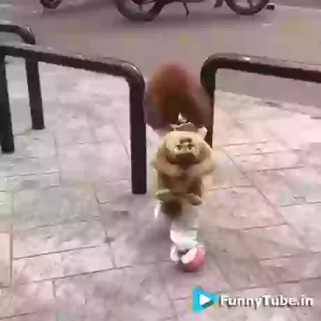 I Guess Its Girl Very Funny GIF