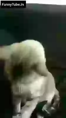 Funniest Indian Shastriya Sangeet Singing Ever