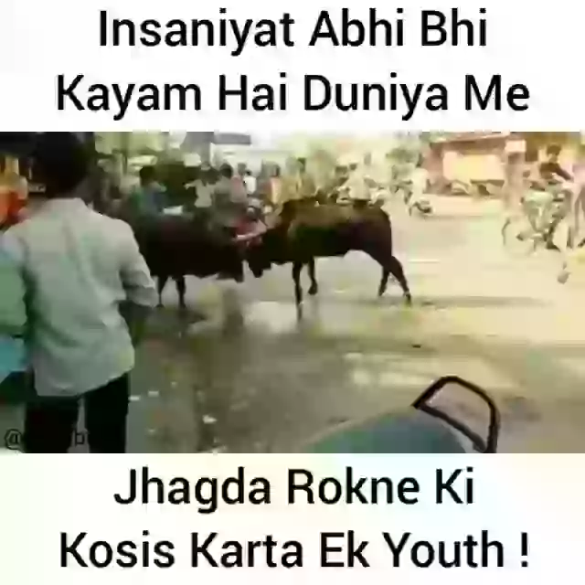 Insaniyat Janvaro Ke Bich Nahi Chalthi Bhai