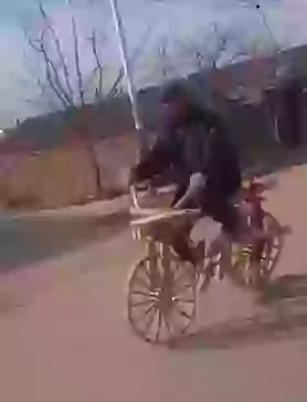 Interesting Video Full Wooden Cycle