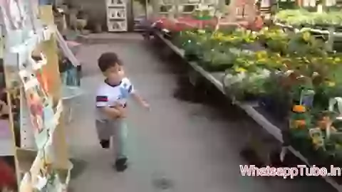 Its Crazy Little boy gone