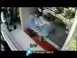 Its Funny Monkey Rob In Jewelers Shop