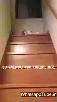 Its Moandy And Needed To Go Office