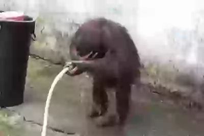 Its too hot in india