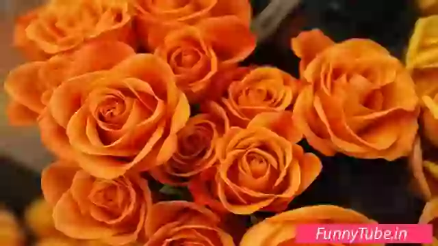 Latest Good Morning Quotes In Hindi