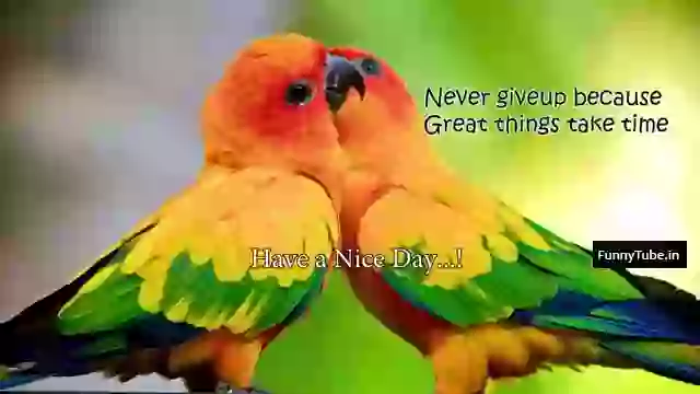 Latest Good Morning Video Message Status