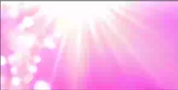 Latest Status For Happy Rose Day 2019