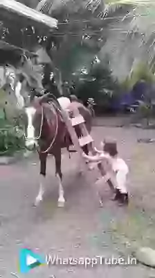 Little Angel Horse Riding