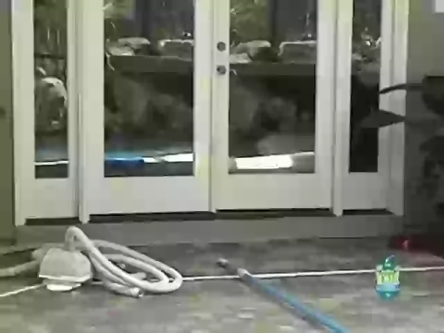 Little Baby Knows Swimming