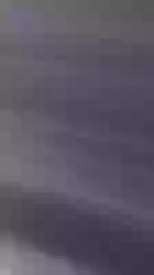 Lo Bhai Taza Sabzi Lo Interesting Video