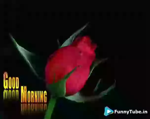 Lovely Day Good Morning GIF