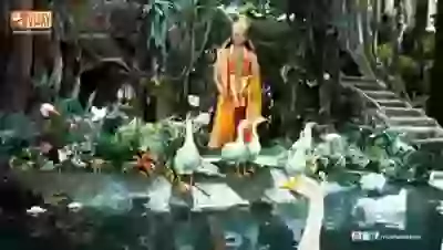 Mahabharat Status Gita Status Good Morning Status Bhagvat Video Whatsapp Status