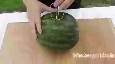 Melon Juice Trick