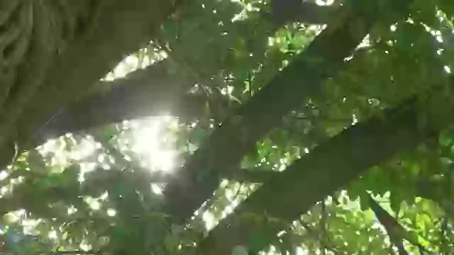 Modi Yoga Time Must Watch Interesting Video