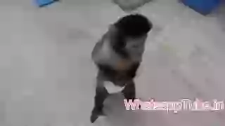 Monkeys are much smarter than you