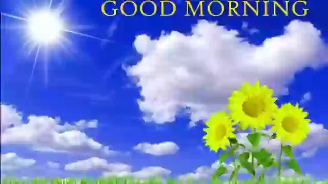 Morning Status Love Morning Whatsapp Status Video Whatsapp Status