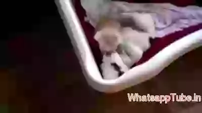 Most Cute Friendship