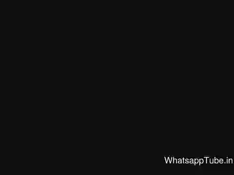 Most Dangerous Dog Breeds