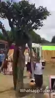 Moving Tree Very Interesting