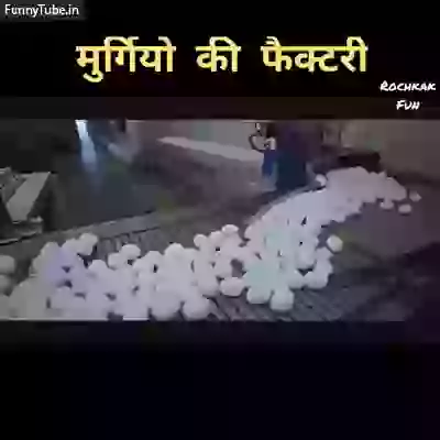 Murgiyon ki factory dekhi hai kabhi