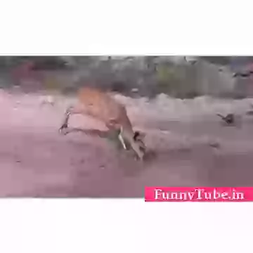 Near Miss And Near Win