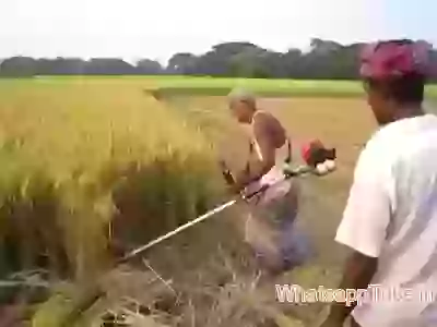 New Machine technology for farmers