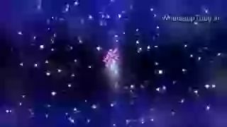 New Year Greeting Video For Mobile