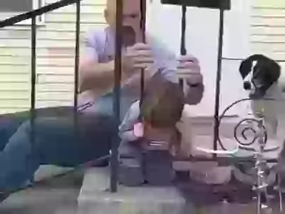 Oh My Head Help Me Dad