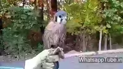 Only In Earth Can Do This