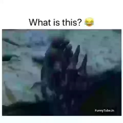 Couple Dance Expectation Vs Reality Funny Status