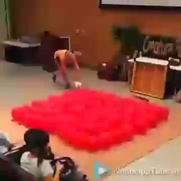 POP 100 Balloons By Dog