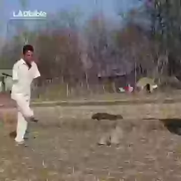 Playing Cricket Without Hands Inspirational