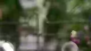 Please Be Clever About Traffic Rules