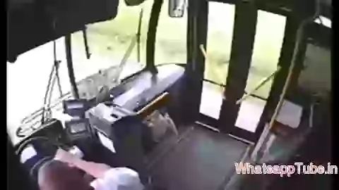 Poor Deer in bus