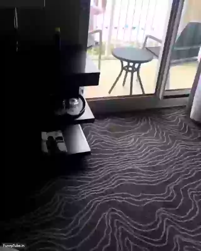 Toilet Cleaner Challenge Funniest Video 2018