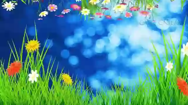 Raksha bandhan video download