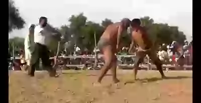 Monkey Car First Time Ever Funny Whatsapp Status