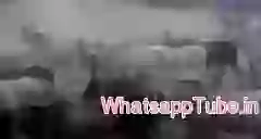 Respect our Goddess Cow