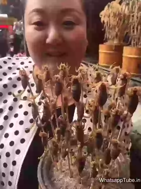 Scary Eating Cockroach Yukk