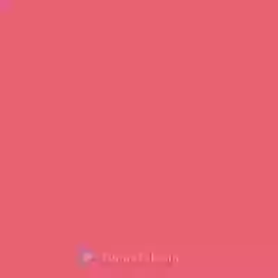 Shaadi Special Funny Indian Wedding Fails in 2018