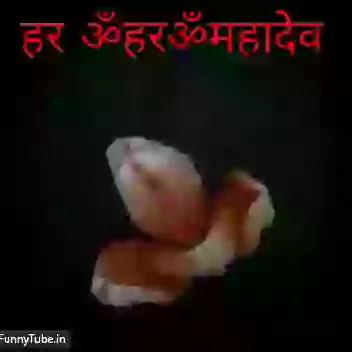 Shubh Somvar Good Morning Whatsapp GIF