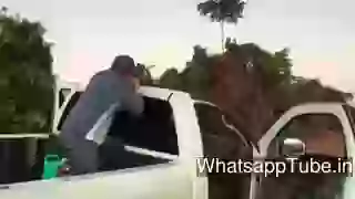 Sliced The Tree With Sniper