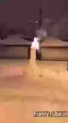 So Whats Is New Year Plan