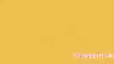 Splashing Way To See Rotterdam