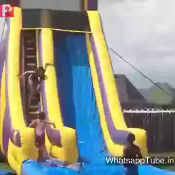 Summer Time Dog Enjoying WaterPark